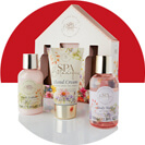 Shop Beauty and Fragrance